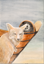 Art Print, Coyote Rescues Hawk