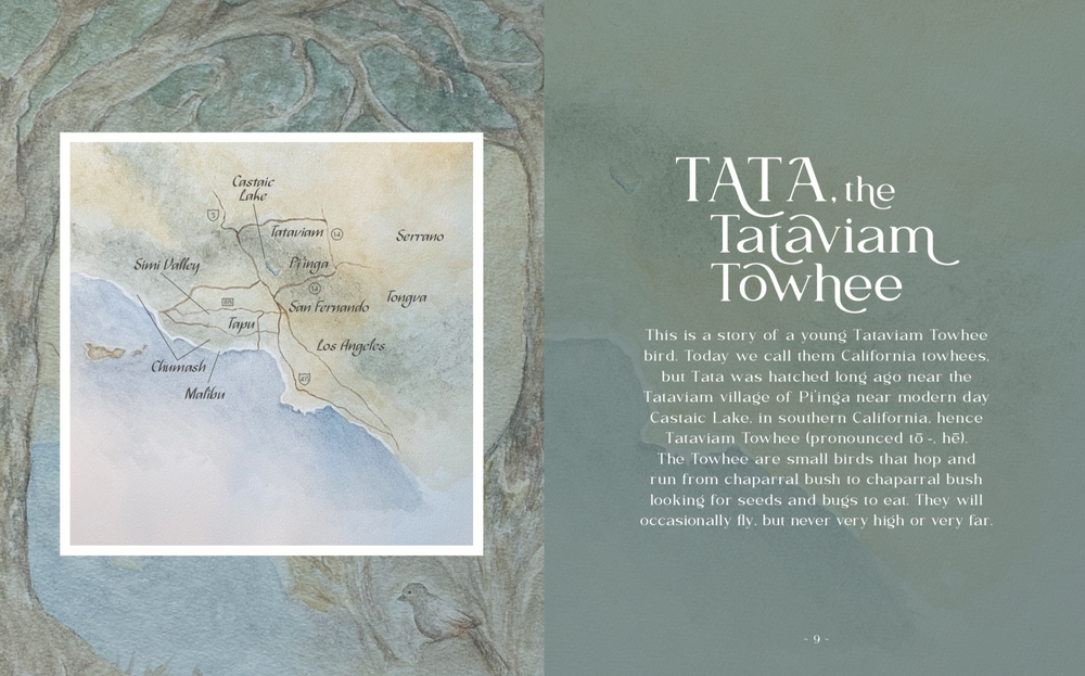 
                
                    Load image into Gallery viewer, TATA, The Tataviam Towhee- Collectors Edition Hardcover Book
                
            